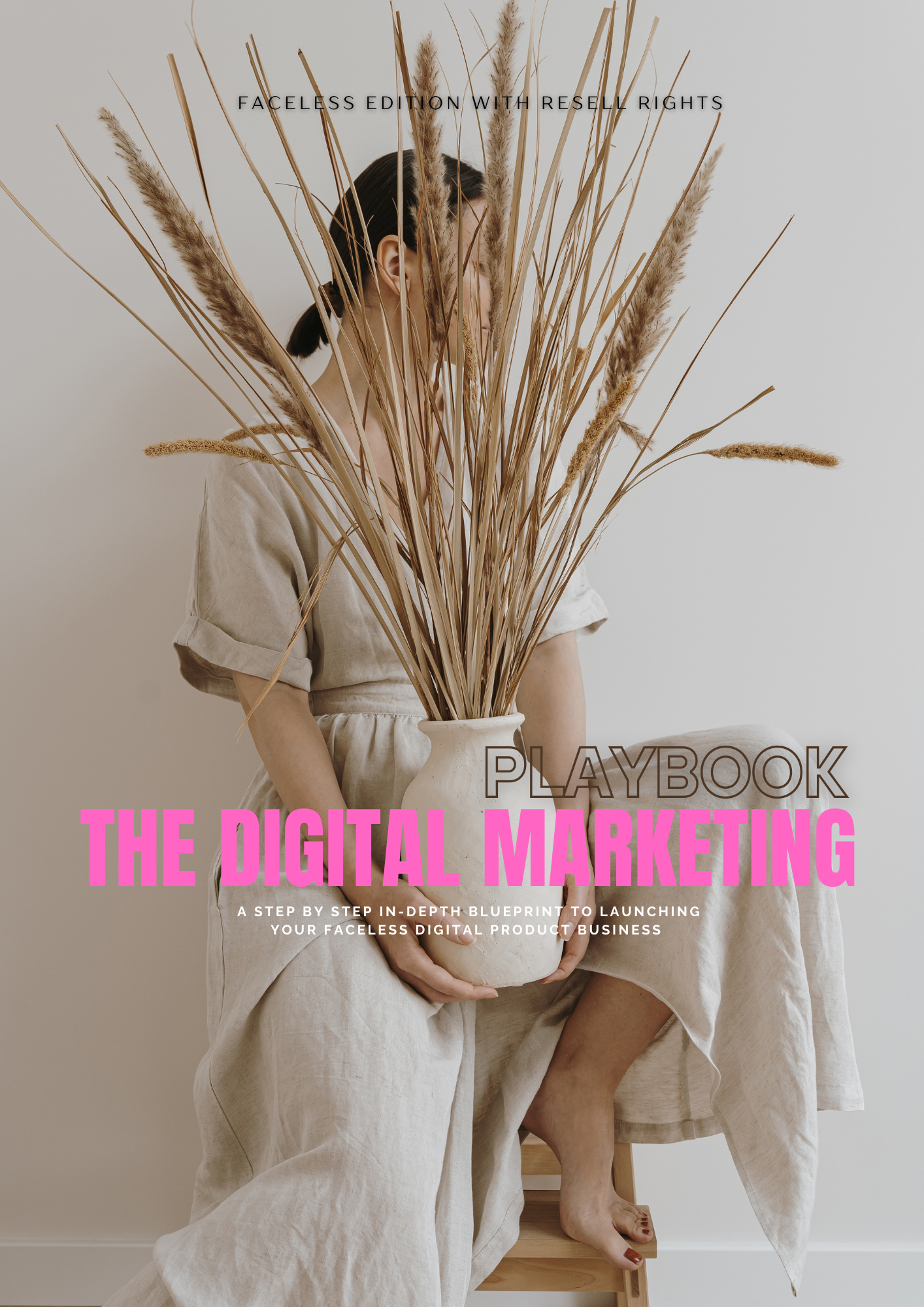 Faceless digital Marketing guide MRR